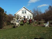 Farm stay Hof auf der Wurp - Bed and Breakfast Harrierwurp