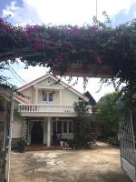 Pine Tree Homestay - B&B