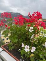 B&B La DORMERIA - Bed and Breakfast Finale Ligure