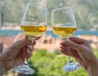 Sunshine - B&B Kotor