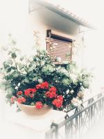 Eva's apartment - Chambres d’hôtes Platariá