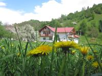 Casa Felicia - B&B Moieciu de Jos
