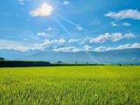 關山稻香田園民宿 - B&B Guanshan