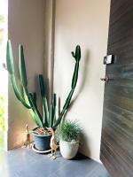 Home at 20 by Sleepyoho - Ferienwohnung Chiang Mai