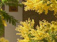 La Casa Tara - Chambres d’hôtes Prades