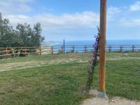 Vierbettzimmer mit Terrasse