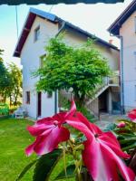 Apartman Amila - B&B