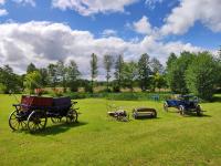 Woodorf drewnem usłane - domki z bala nad rzeką Słupią wśród pól i lasów z chatą grillową, ogniskiem i placami zabaw dla dzieci -Royal Red House z jacuzzi i ogrodzonym extra ogródkiem dla piesków, Royal Green House - bez jacuzzi - B&B Ustka