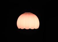 Guest House Kingyoya - B&B Kyoto