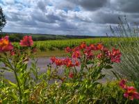 Les Chemins d'Ambre et Thaïs - Bed and Breakfast La Regrippière