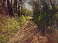 Bosvean Cottage - B&B Bude