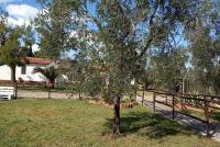 Domus Vestae - B&B Vieste