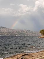 Elen Apartment Postira - B&B Postira