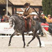 Quinta da Marmela - B&B Torres Novas