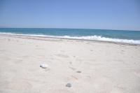 Residence San Rocco - Bed and Breakfast Isca sullo Ionio