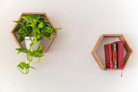 Apartamentos Manuel Roio - Chambres d’hôtes Vejer de la Frontera