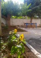 Antonia's Rustic Retreat - B&B Dório