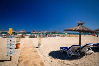 le jardin botanique - B&B Perpignan