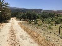 Pervolaris Cottages 2 - B&B Goudi