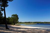 Superbe Studio meublé idéal pour couple ZEN avec SPA - Chambres d’hôtes Sanguinet