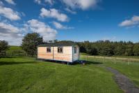 Cow Parsley Shepherd's Hut - Ferienwohnung Berwick-upon-Tweed
