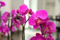 Au doux repos - B&B La Gaubretière