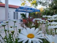 La Vie Krk - B&B Krk