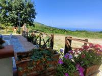 La casa in campagna - B&B Perdifumo