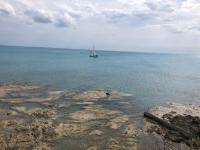 Grazioso Bilocale Caletta Castiglioncello - Tuscany - Ferienwohnung