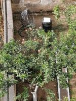 Katerina 's Penthouse - Chambres d’hôtes Kalamata