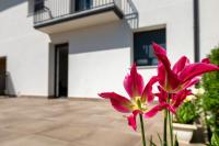 Apartamentos Herri Ondo REFUGIO CLIMATICO ITURMENDI - B&B Iturmendi