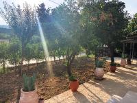 potami appts - B&B Ano Gerakari