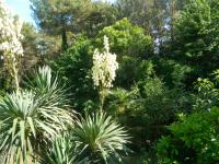 Apartments vila Vanda - B&B Parenzo