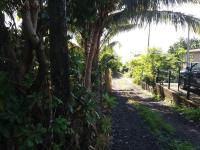 Location saisonnière Le Clos des Agrumes - B&B Sainte-Anne