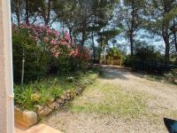 Maisonnette dans la colline,port d'Alon & calanque - B&B Saint-Cyr-sur-Mer