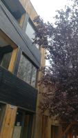 Para quedarse - SalePatagonia - Bed and Breakfast