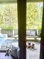 Mazzin Raggio di Sole - B&B Campestrin