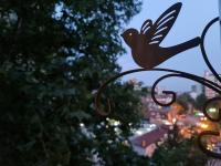Center cosy apartment - Bed and Breakfast Skopje