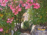 Guest House Casa Cassien - Ferienwohnung Montauroux