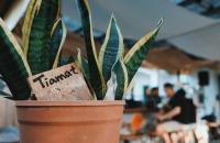 TIAMAT Diving Club X 苦水輕旅 - Ferienwohnung Hengchun