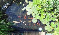 Ferienwohnung Gartenblick - B&B Kröpelin