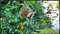 B&B Tortuguero - Natural Experience House - Bed and Breakfast Tortuguero