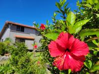 Pension Snadun - B&B Ginoza