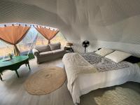 Dome 3