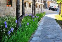 Appartamento 6 ospiti con piscina, 3 camere, box, 2 min piste - Snow Pool Chalet - Chambres d'hôtes Prato Nevoso