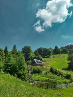 Domek Na Wypasie - B&B