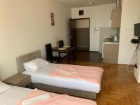 King Studio with Sofa Bed