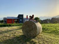 B&B Lupo - Bed and Breakfast