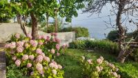 B&B Senj - Apartments Mare Croatia - Bed and Breakfast Senj