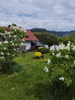 Cabana La Plai - idyllic natural setting - B&B Vatra Dornei